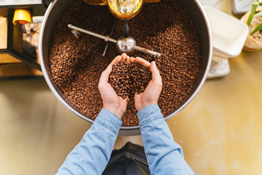 How Coffee Is Made: From Farm to Your Cup